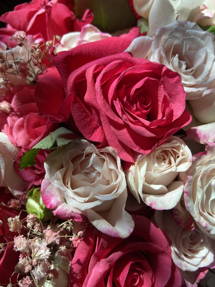ReemaABa's tweet photo. {إِنَّمَا أَمْرُهُ إِذَا أَرَادَ شَيْئًا أَن يَقُولَ لَهُ كُن فَيَكُون}…💗

[يس: ٨٢]

#آية https://t.co/hFpRcHYR0V