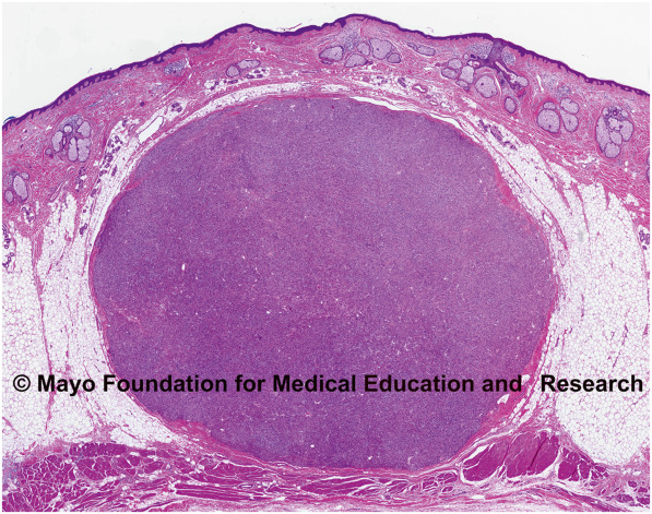 Mayo Clinic Proceedings tweet media