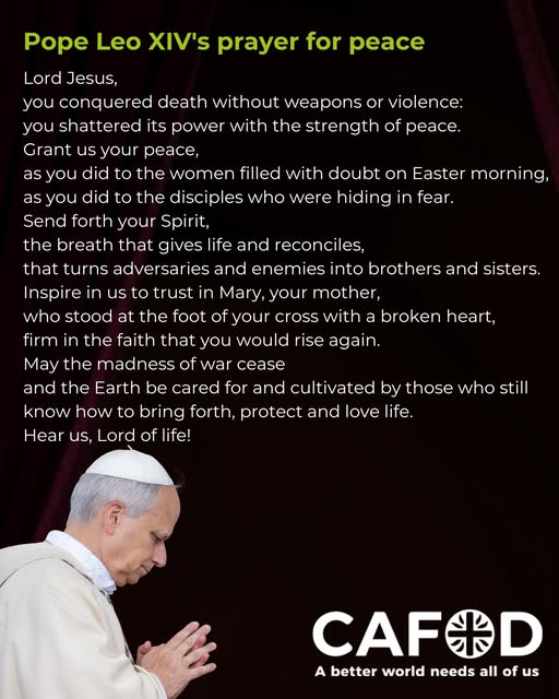 CAFODSalford's tweet image. On Saturday, Pope Leo invited all to join him for a prayer vigil at Saint Peter’s Basilica. 🕊️🙏

Let's continue to unite in praying for a stop to war. #PopeLeoXIV #Peace #Prayer
