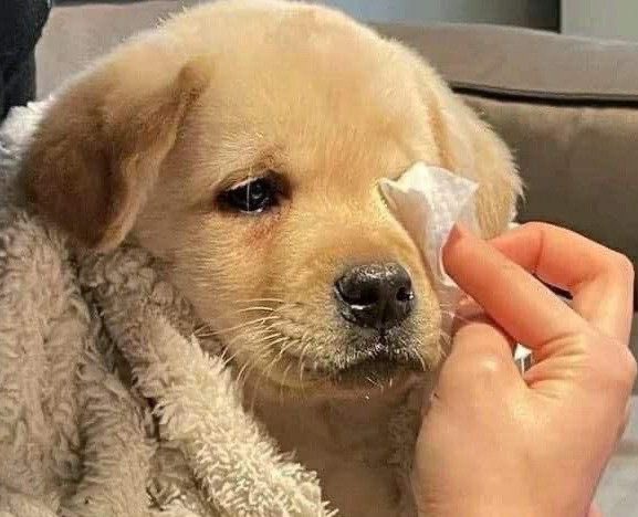 soyou♡ tweet media