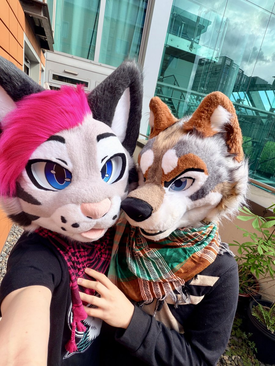 Melon_mow's tweet photo. 3 years ago on this day I met my favorite boy in the world @FerrixGulo 💕 Spending the day working on our garden and home to build a more permanent life together :3 https://t.co/RLXLKp9nDB