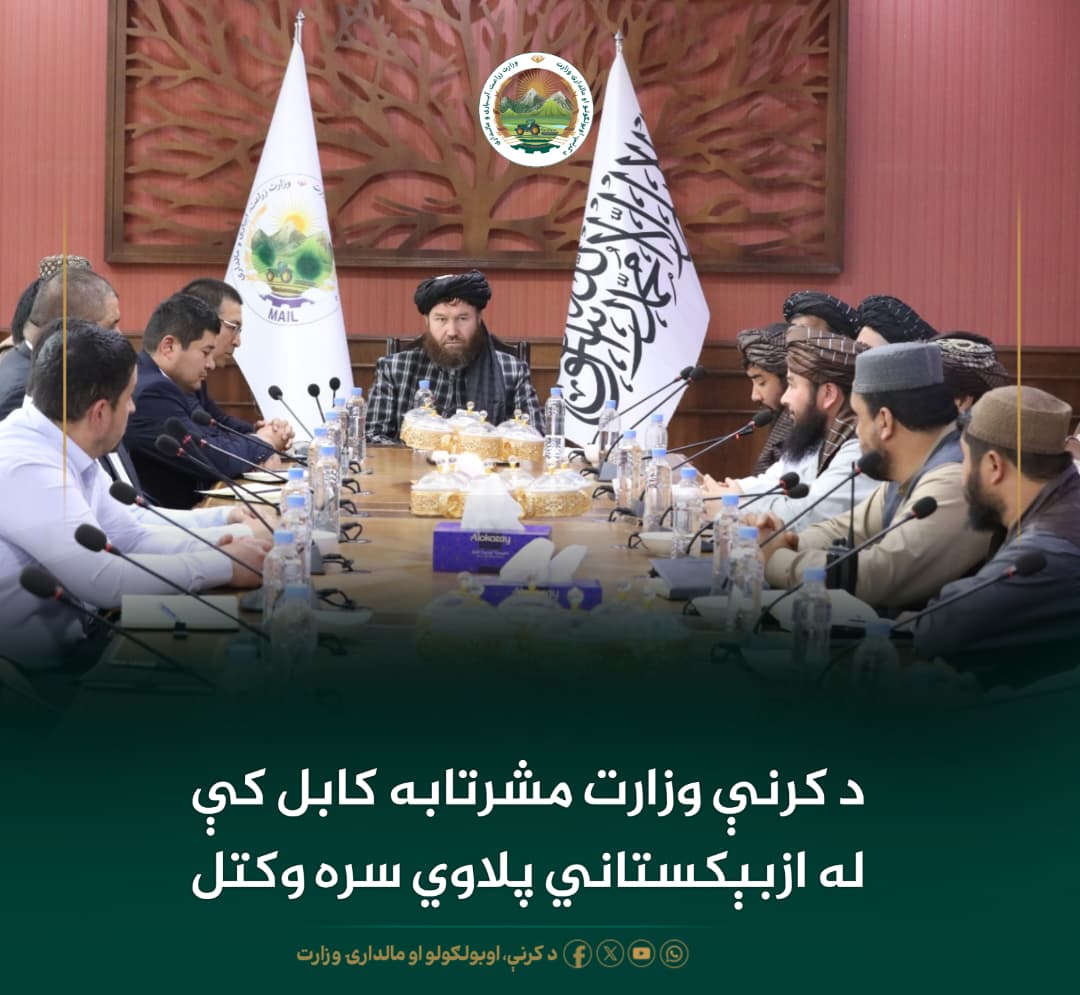 🦅 زاهد آزمون tweet media