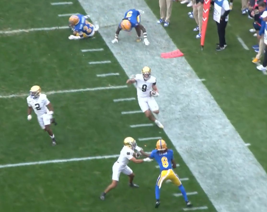 Dynasty Zoltan tweet media