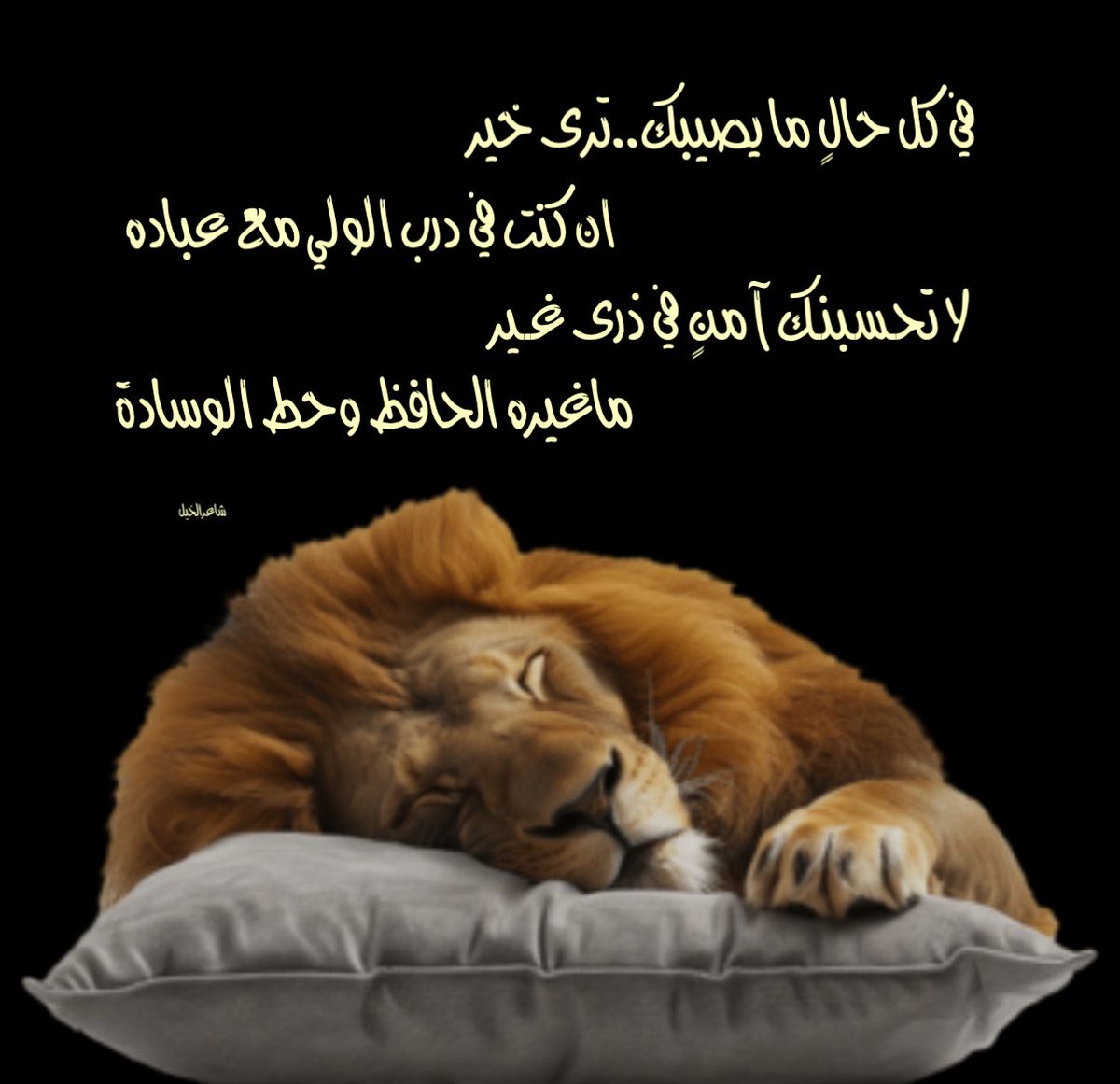 maehtz's tweet photo. #الشعر #الأدب #الأدب_السعودي
#الأدب_العربي #ديوان_شاعر_الخيل
#شاعر_الخيل https://t.co/Fu4B1CMLiZ
