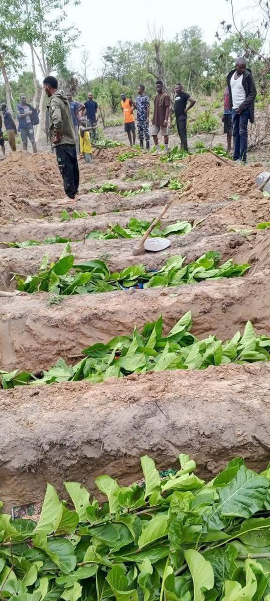 Evangelist Isaac Agada tweet media