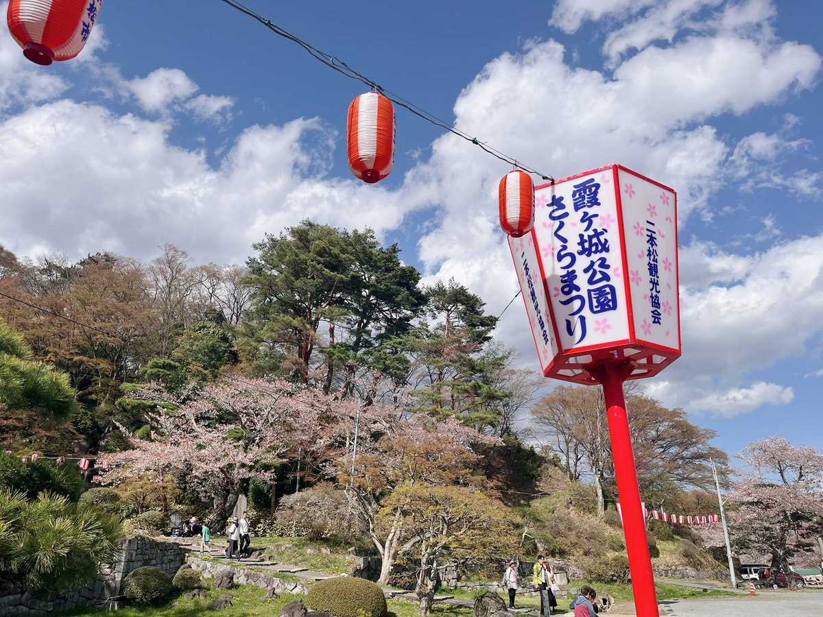 あきぴ tweet media