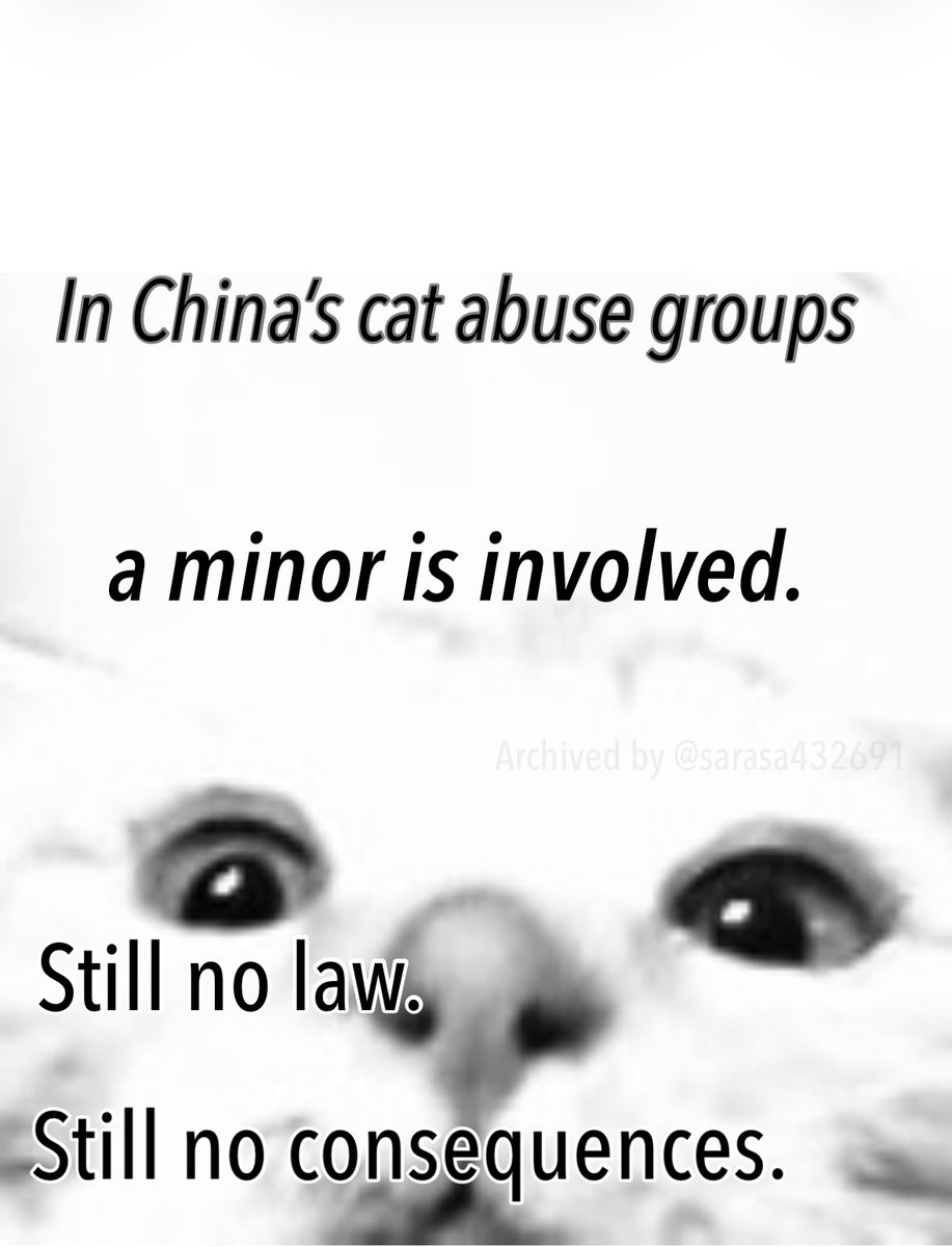 SARASA432691's tweet photo. #China https://t.co/5qbtRfGJ2r