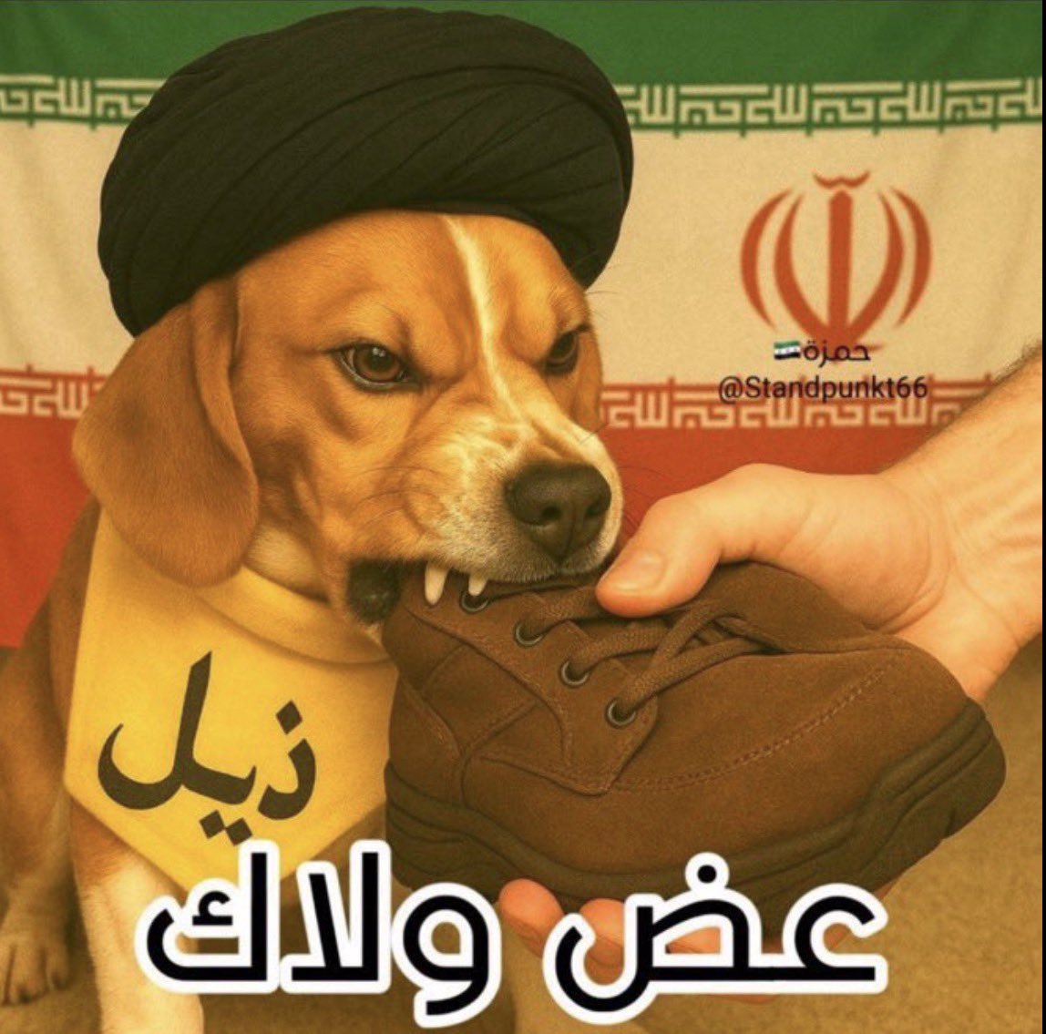 🇱🇧𝓂𝒶𝓎𝒶🇱🇧 tweet media