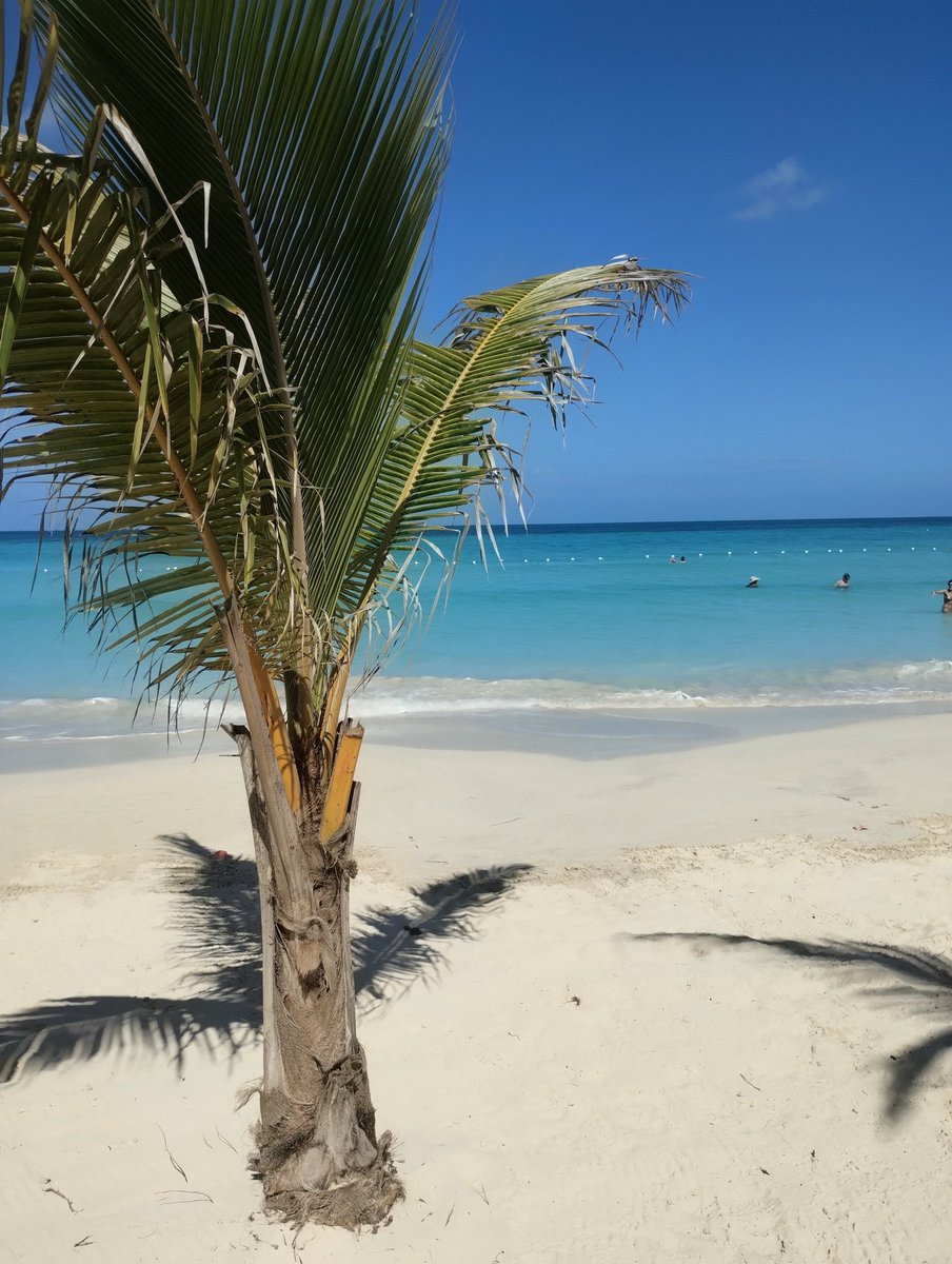 NolavA58918001's tweet image. "In bagno? In caldobagnoooooo!"

#SpringBreak #Jamaica 🇯🇲