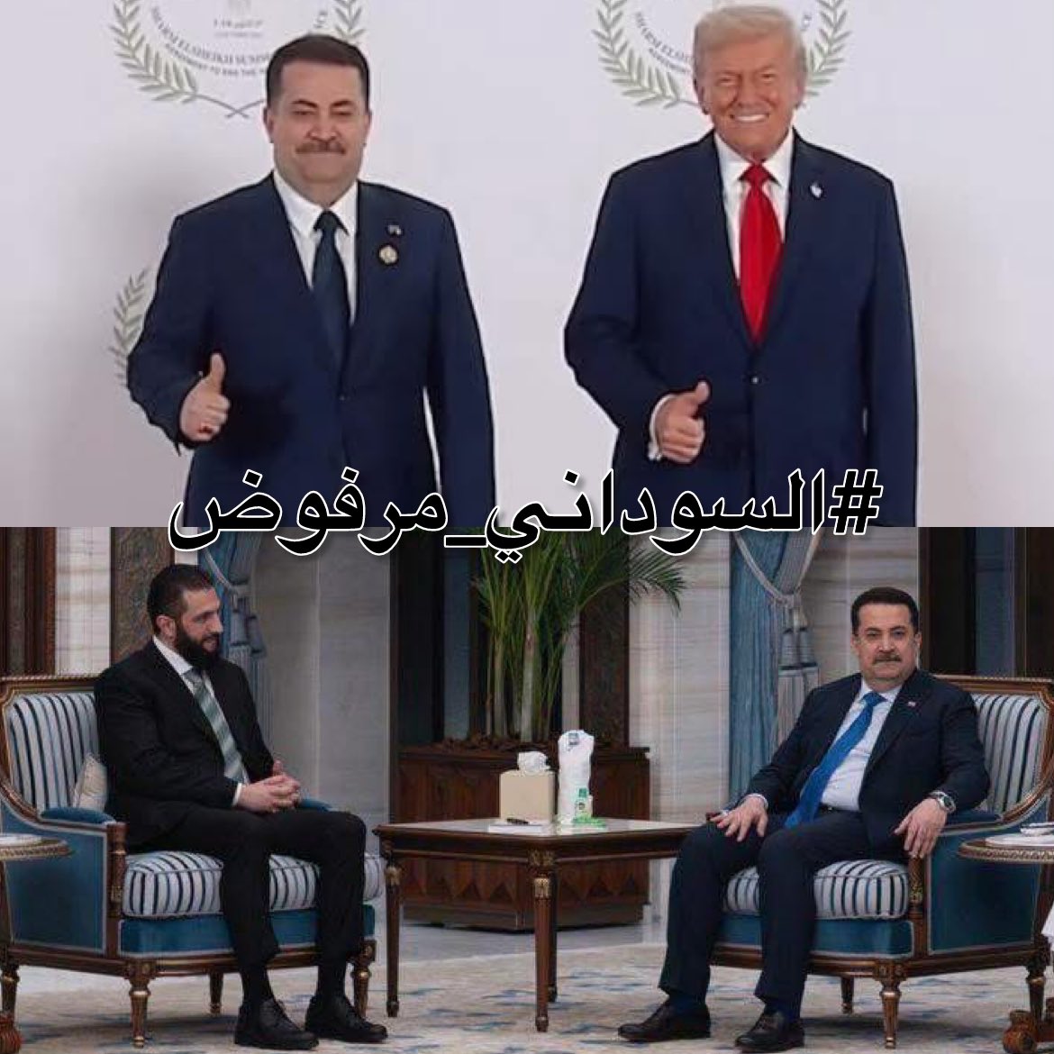 مصطفى عماد tweet media