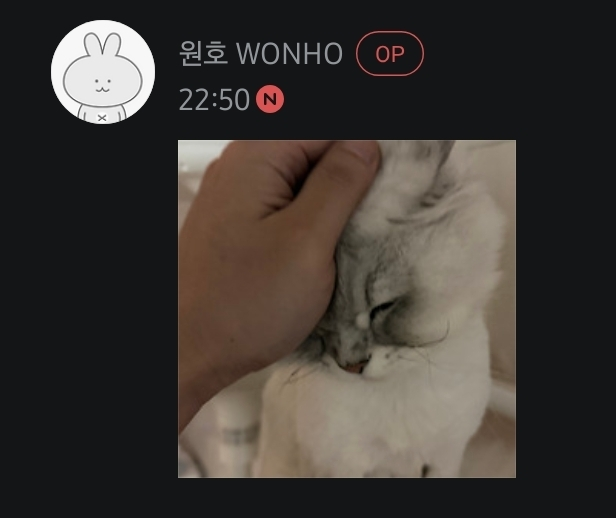 WONHO GLOBAL FANBASE tweet media