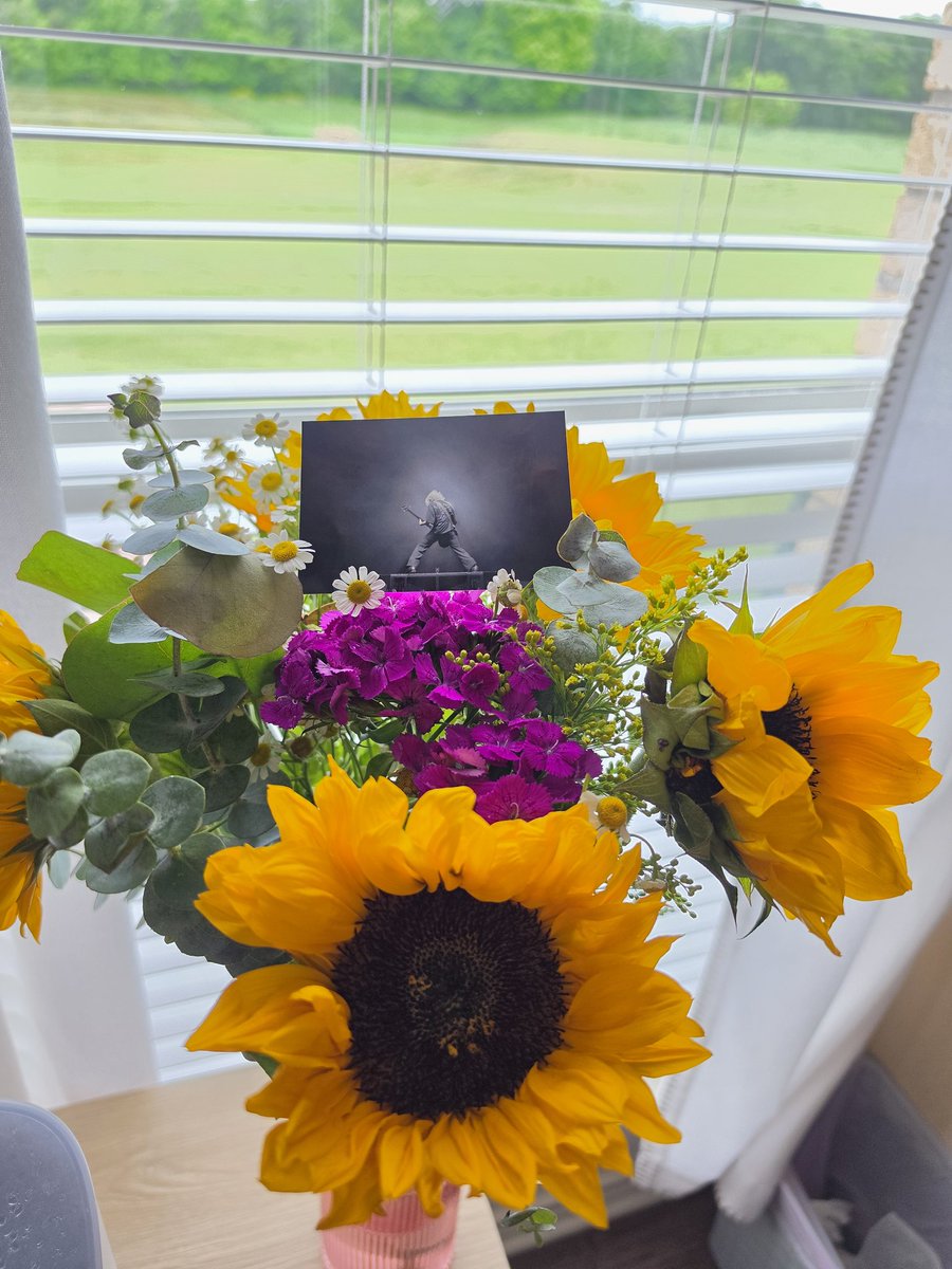 ced1022's tweet photo. I hope you're resting well, REITA. 💛 We miss you so much. #flowersforREITA https://t.co/d3FpX1MKYz