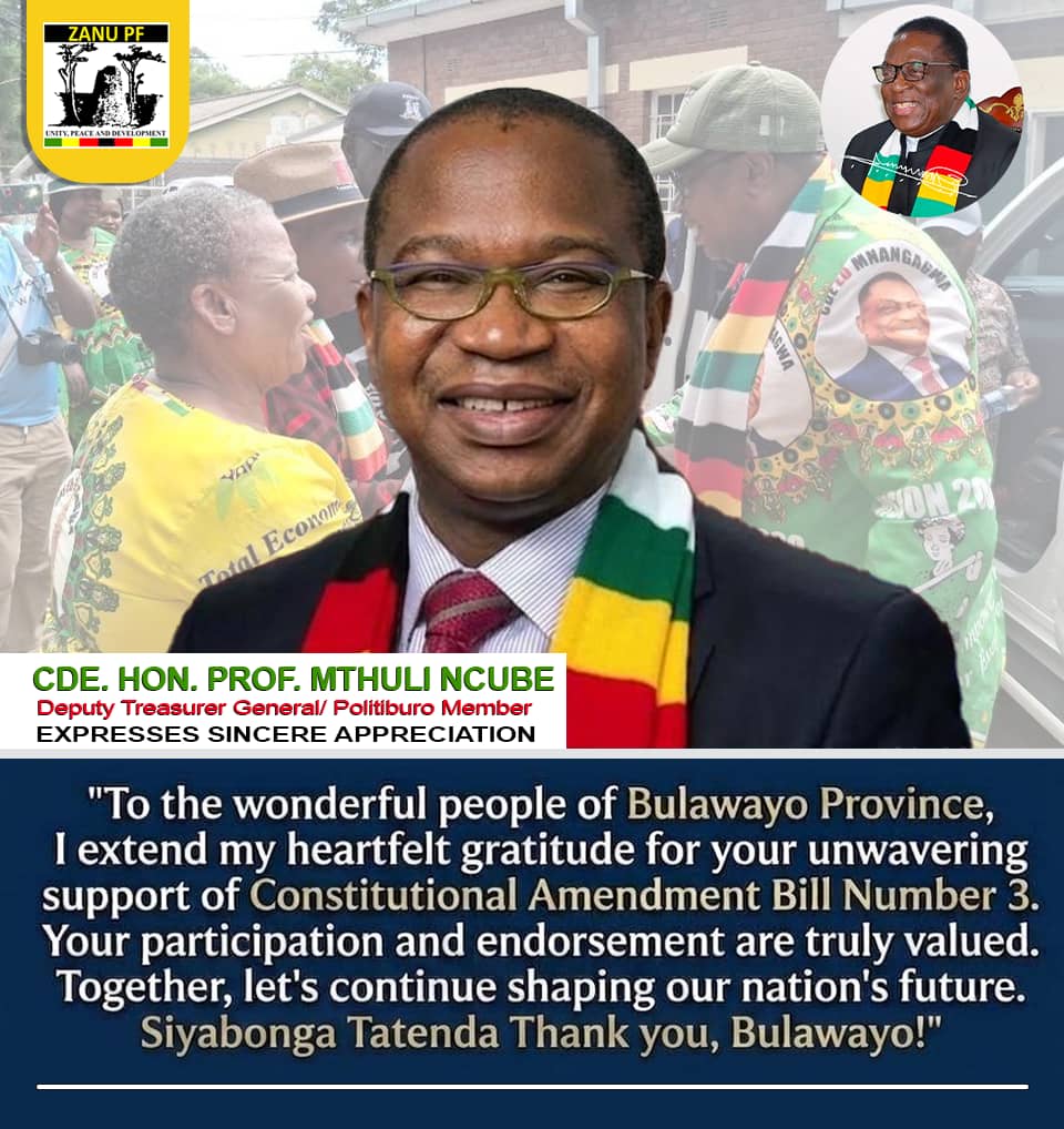 Hon Prof Mthuli Ncube tweet media