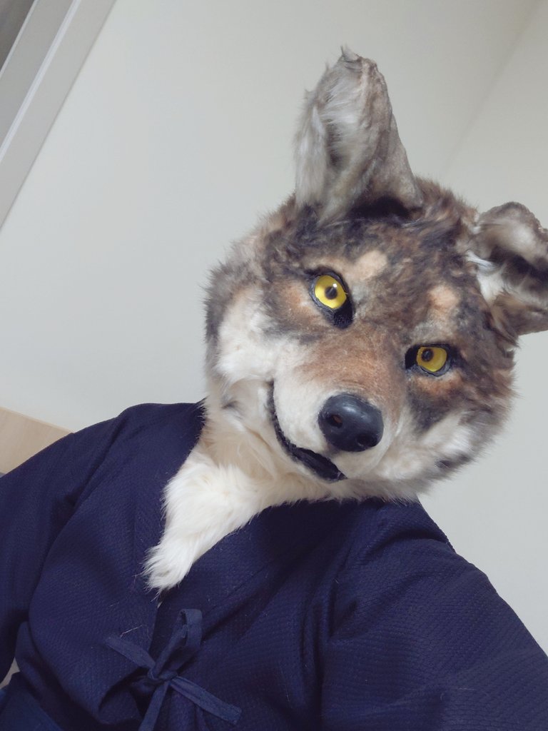 똥개의 반란 tweet media