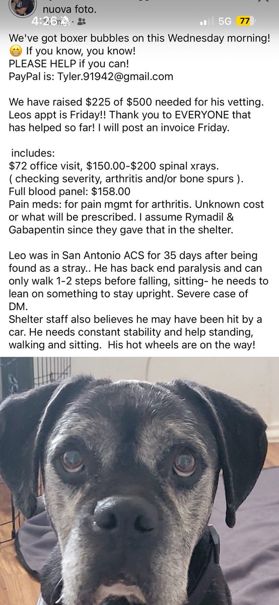 Aurora ⸆⸉ misses Liam ❯❯❯❯ tweet media