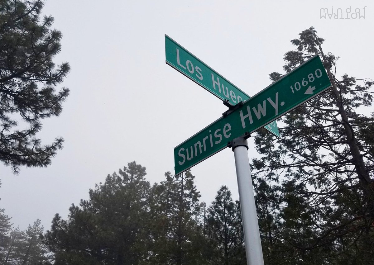 MindofMottram's tweet image. Colors Photo Challenge!
QP or share a photo with the day's colors. Easy peasy.

Day 13 - 🟢 Green &amp;amp; ⚪️ White