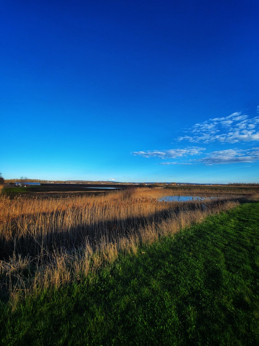 Darrell, not Daryl tweet media