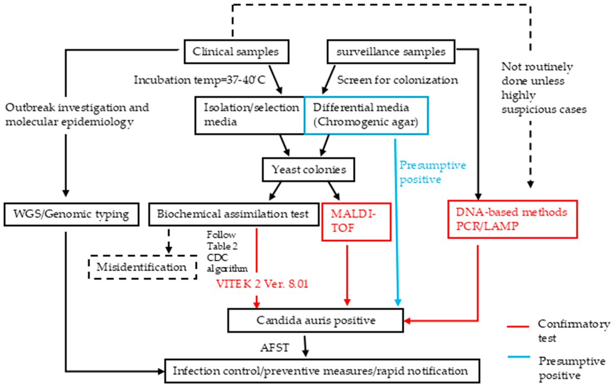 Micro_MDPI's tweet image. 🦠 This paper explores diagnostic challenges and solutions for Candida auris, a WHO-listed global health threat

⚠️ Multidrug-resistant &amp;amp; often misidentified
⏱️ Highlights need for faster, accurate detection

📖 mdpi.com/2076-2607/13/7…
#CandidaAuris #Diagnostics #GlobalHealth