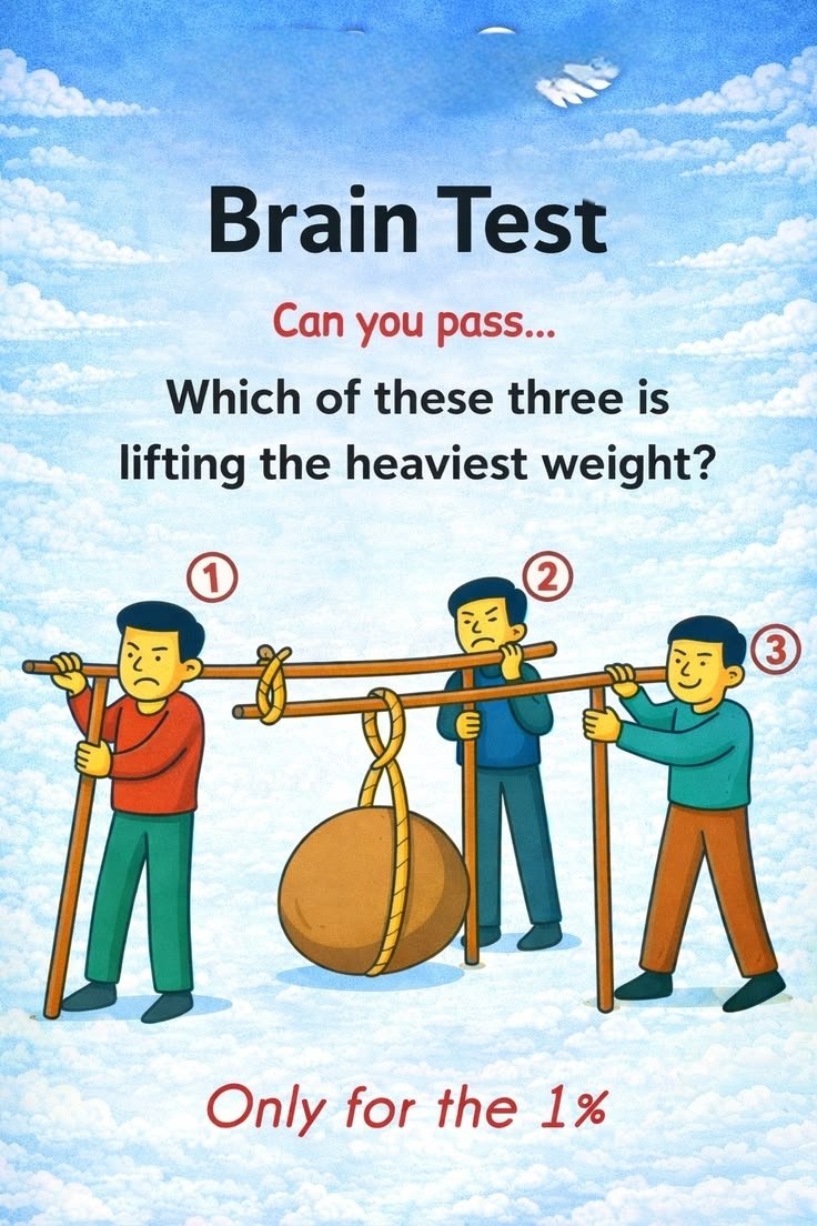 WALLPAPER KING tweet media