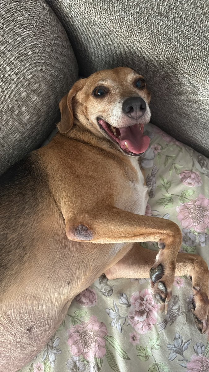 nica | UNCHILD DEBUTT tweet media