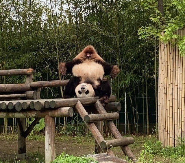 bae winter tweet media