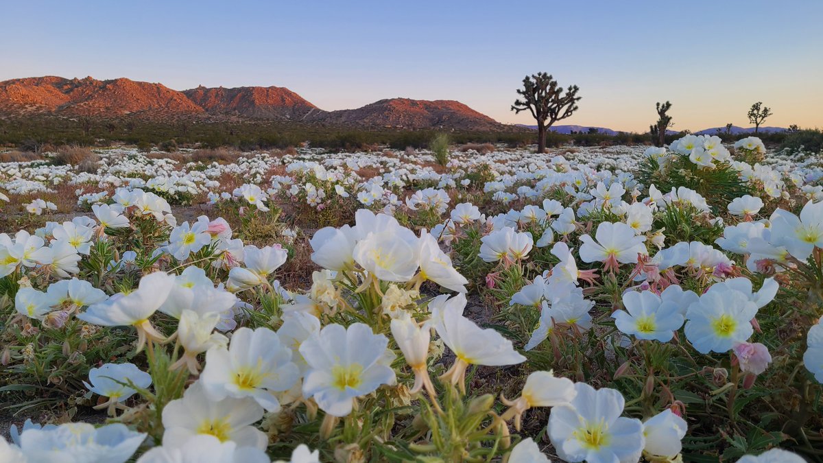 Samuel Green tweet media