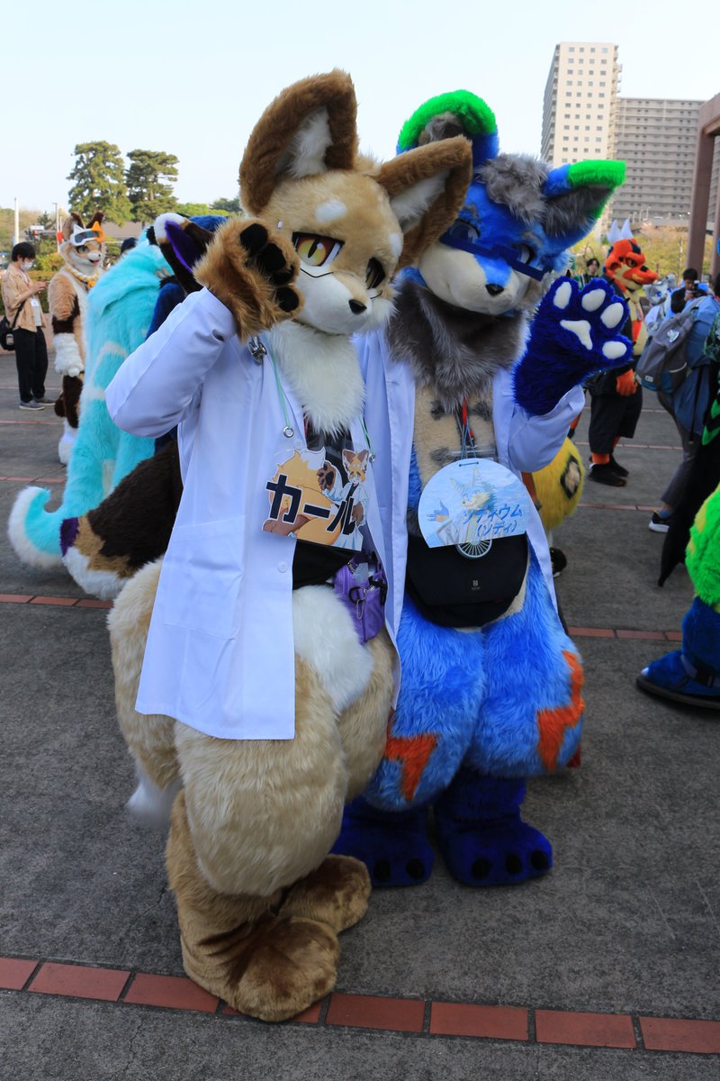 是政　KOREMASA tweet media