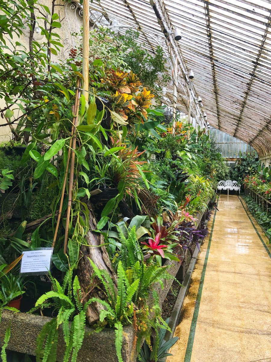Alisone_Davies's tweet image. instagram.com/p/DXICxD3jrAp/…
🚢A Night To Remember⚓️ 
🩵Belfast 🇬🇧🇮🇪
Partie 1/2 : Belfast + Jardins + Dinosaures.
#Belfast #BelfastCity #NorthernIreland #Ireland #Irish #Gardens #Botanic #dinosaurgirl