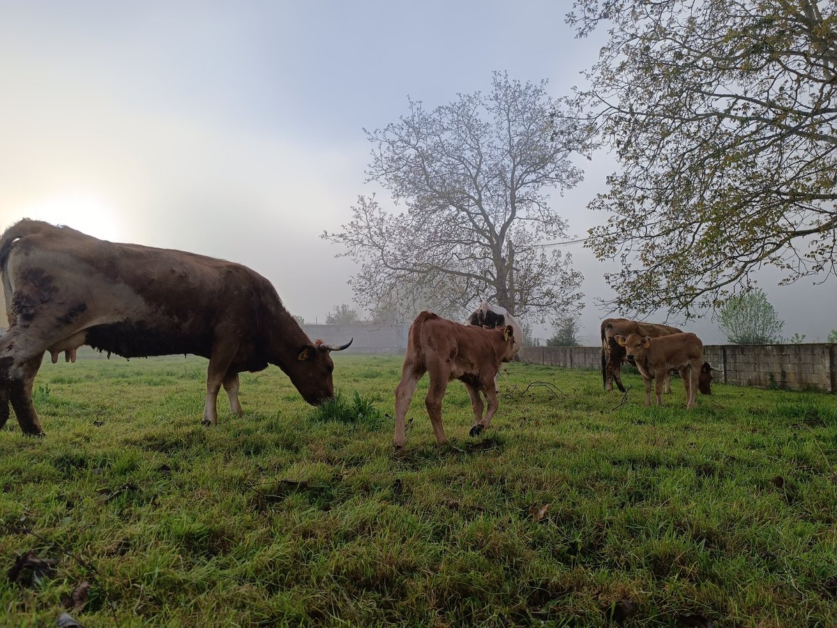 Basi 🌷 tweet media