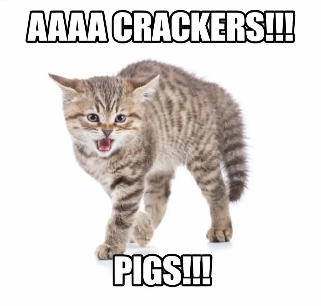 ᅠ ᅠᅠ ᅠ tweet media