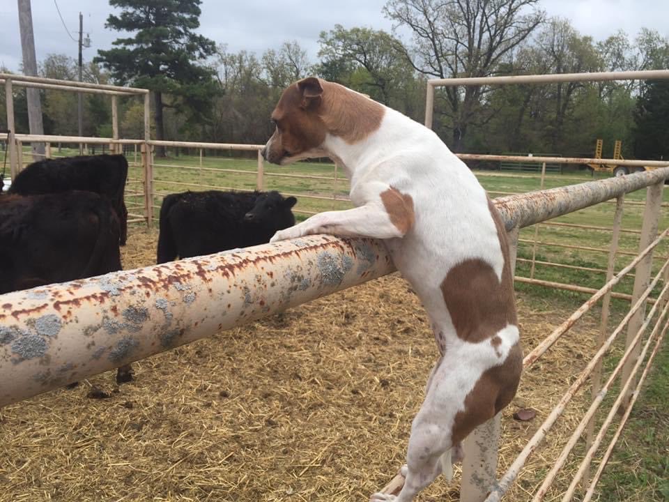 BROKERICH tweet media