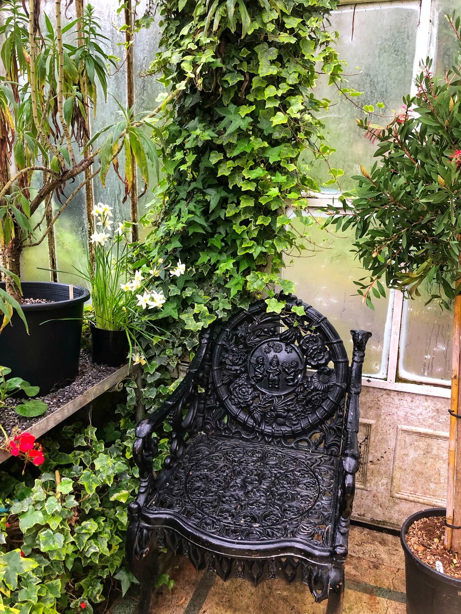 Alisone_Davies's tweet image. instagram.com/p/DXICxD3jrAp/…
🚢A Night To Remember⚓️
🩵Belfast 🇬🇧🇮🇪
Partie 1/2 : Belfast + Jardins + Dinosaures.
#Belfast #BelfastCity #NorthernIreland #Ireland #Irish #Gardens #Botanic #dinosaurgirl