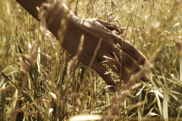 นี่ไม่ใช่เพอร์หรอกค่ะ tweet media