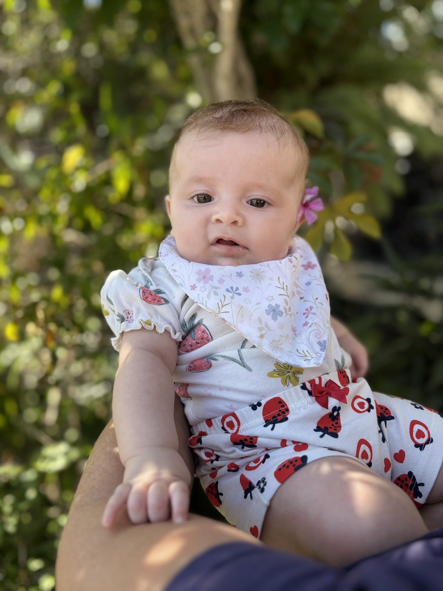 bea, jogo zelda e etc tweet media