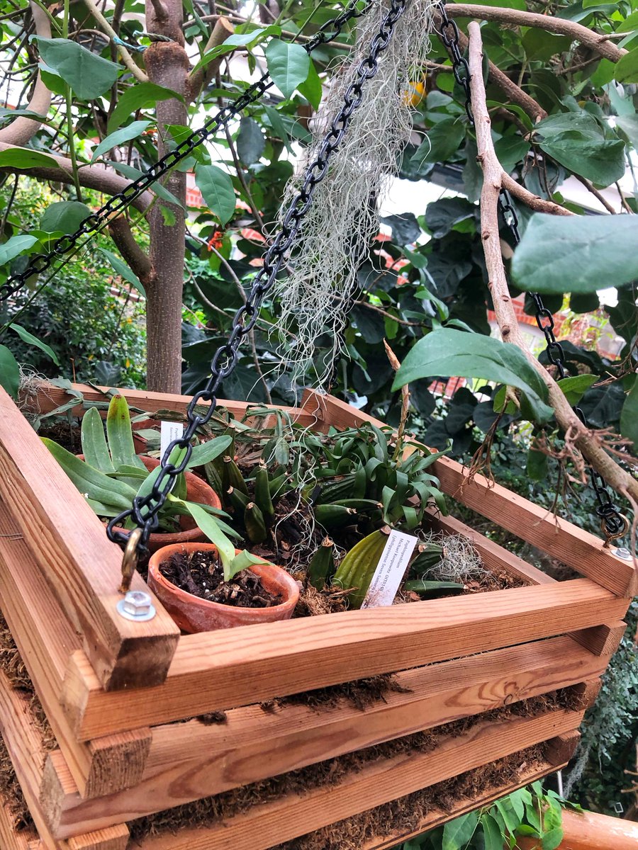 Alisone_Davies's tweet image. instagram.com/p/DXICxD3jrAp/…
🚢A Night To Remember⚓️
🩵Belfast 🇬🇧🇮🇪
Partie 1/2 : Belfast + Jardins + Dinosaures.
#Belfast #BelfastCity #NorthernIreland #Ireland #Irish #Gardens #Botanic #dinosaurgirl
