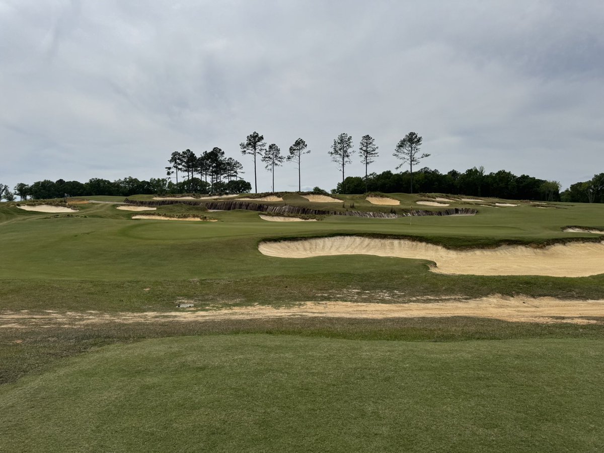 RyanCarrigan2's tweet photo. In my golf bv era #Broomsedge https://t.co/gI0abnx7Zr