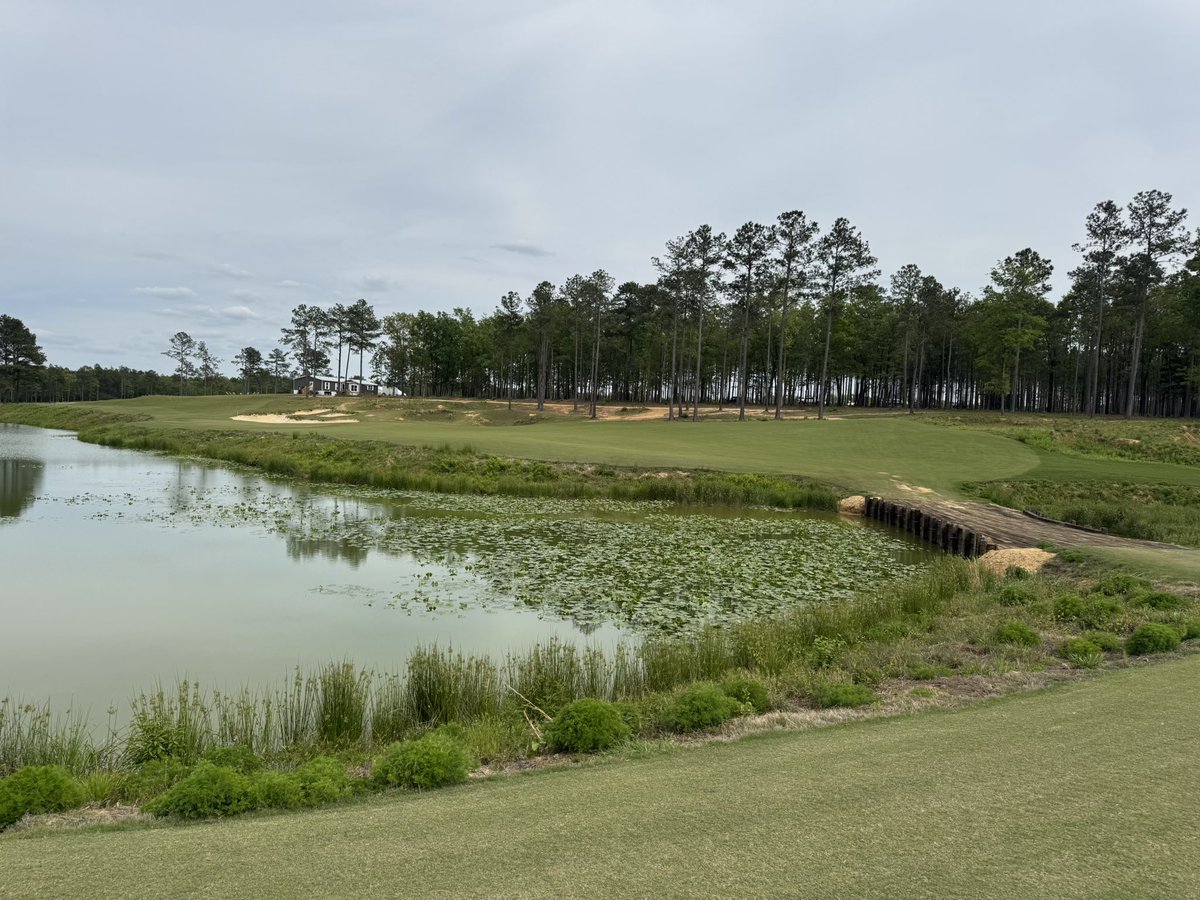 RyanCarrigan2's tweet photo. In my golf bv era #Broomsedge https://t.co/gI0abnx7Zr