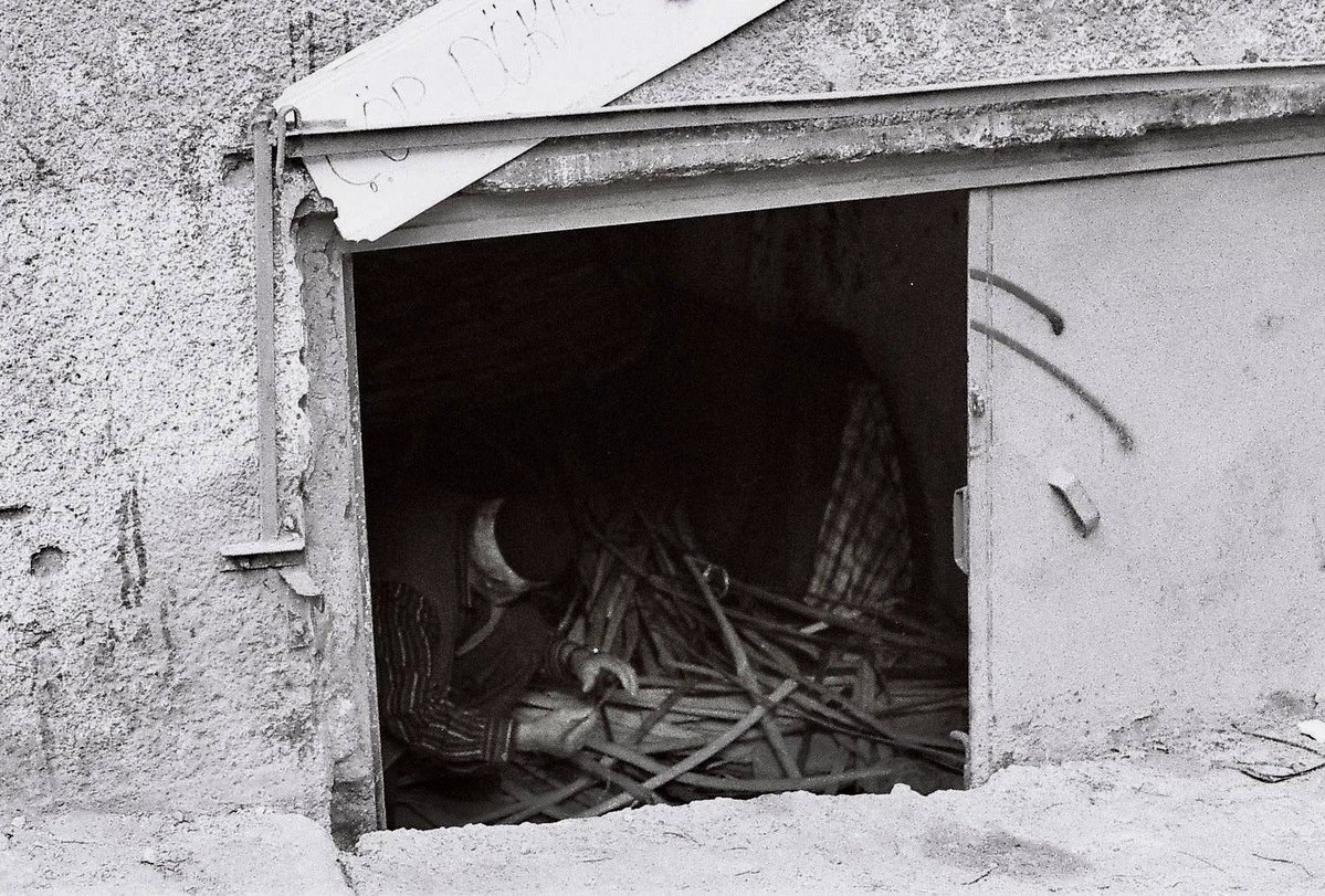 citizen 𖤣𖥧𖡼 tweet media