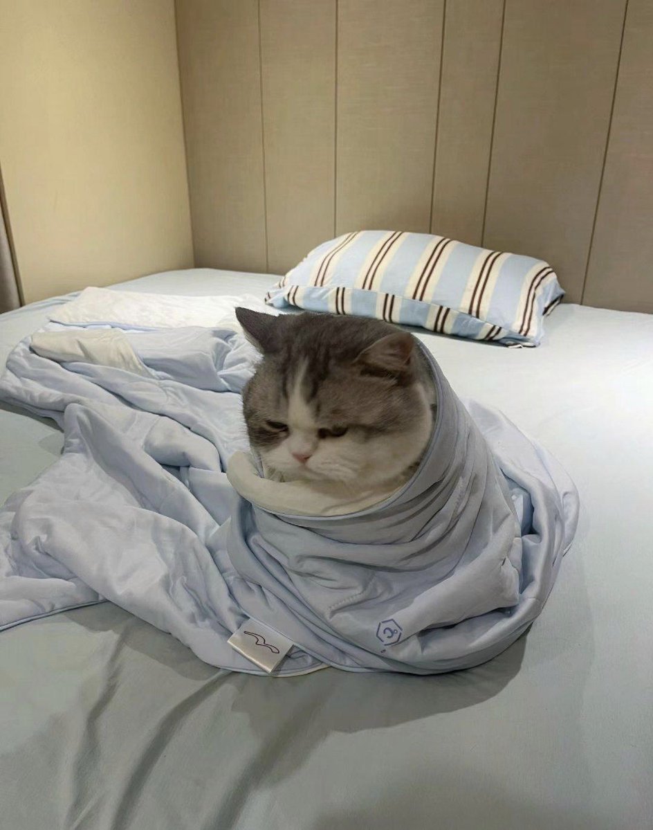 Sandrine Robin tweet media