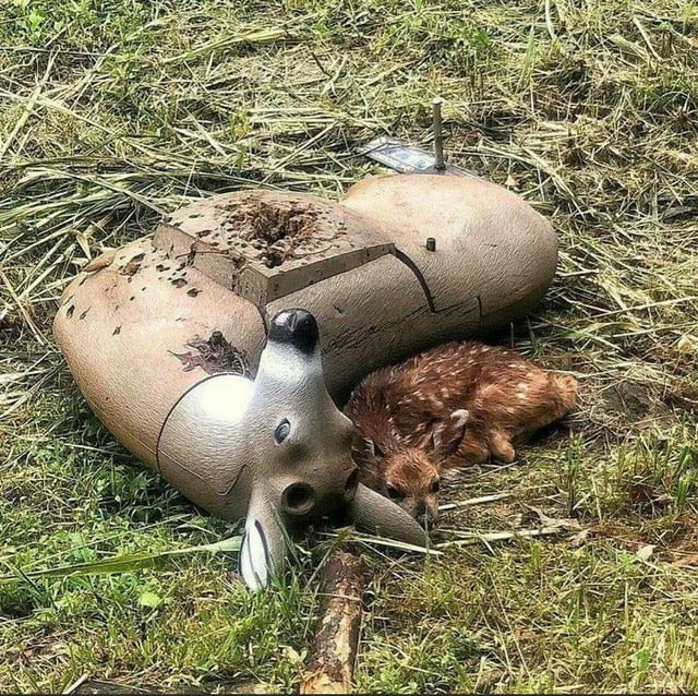 ALEXEI 👁️ tweet media