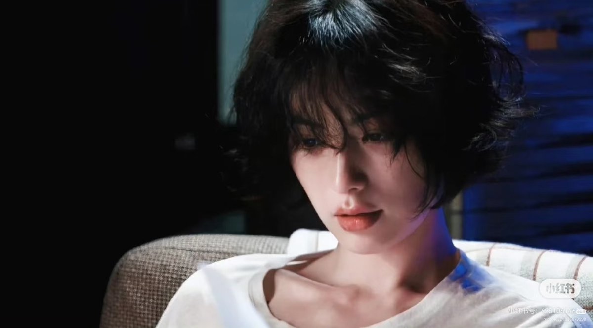 핏트리 tweet media