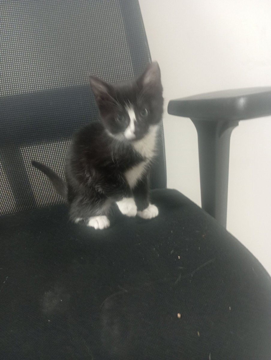 Patili Dostlar Metin Özdemir tweet media