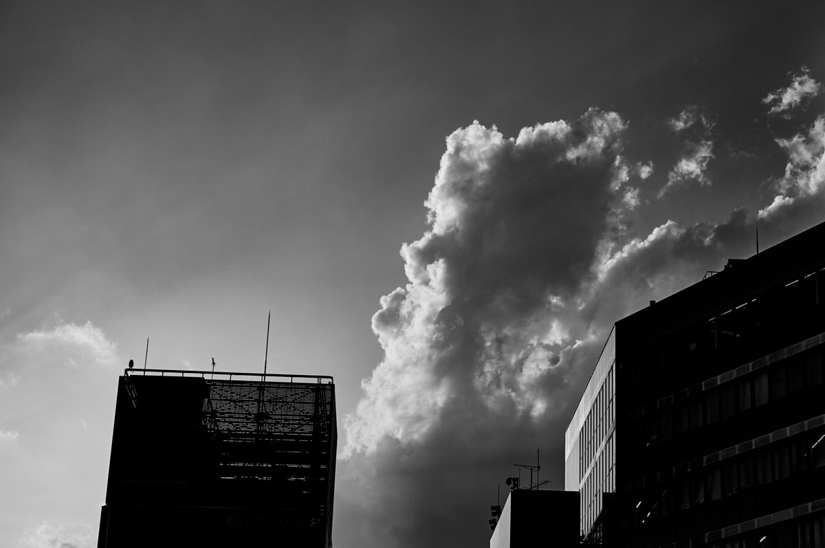 room49plus's tweet image. gn
#Sigma #SigmaLens #ArtLens #Iseries #landscapephotography #streetphotography #sigmafpl #50mmf12dgdn