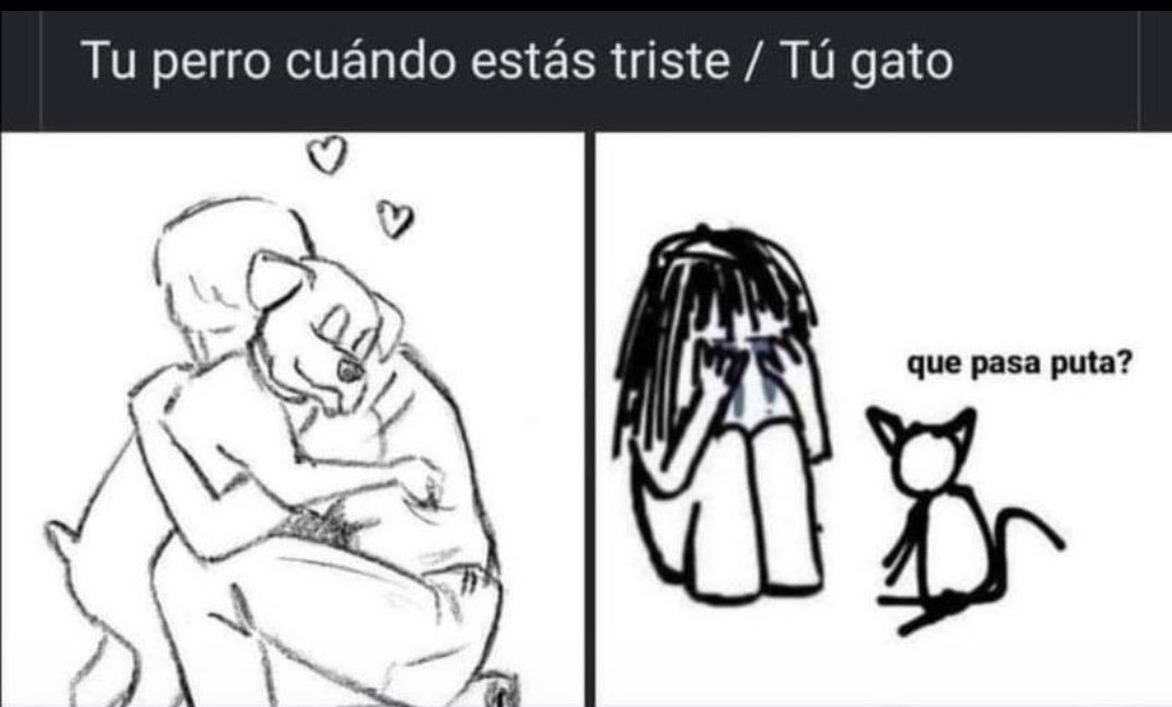 0xidoRock3 🇮🇨 tweet media