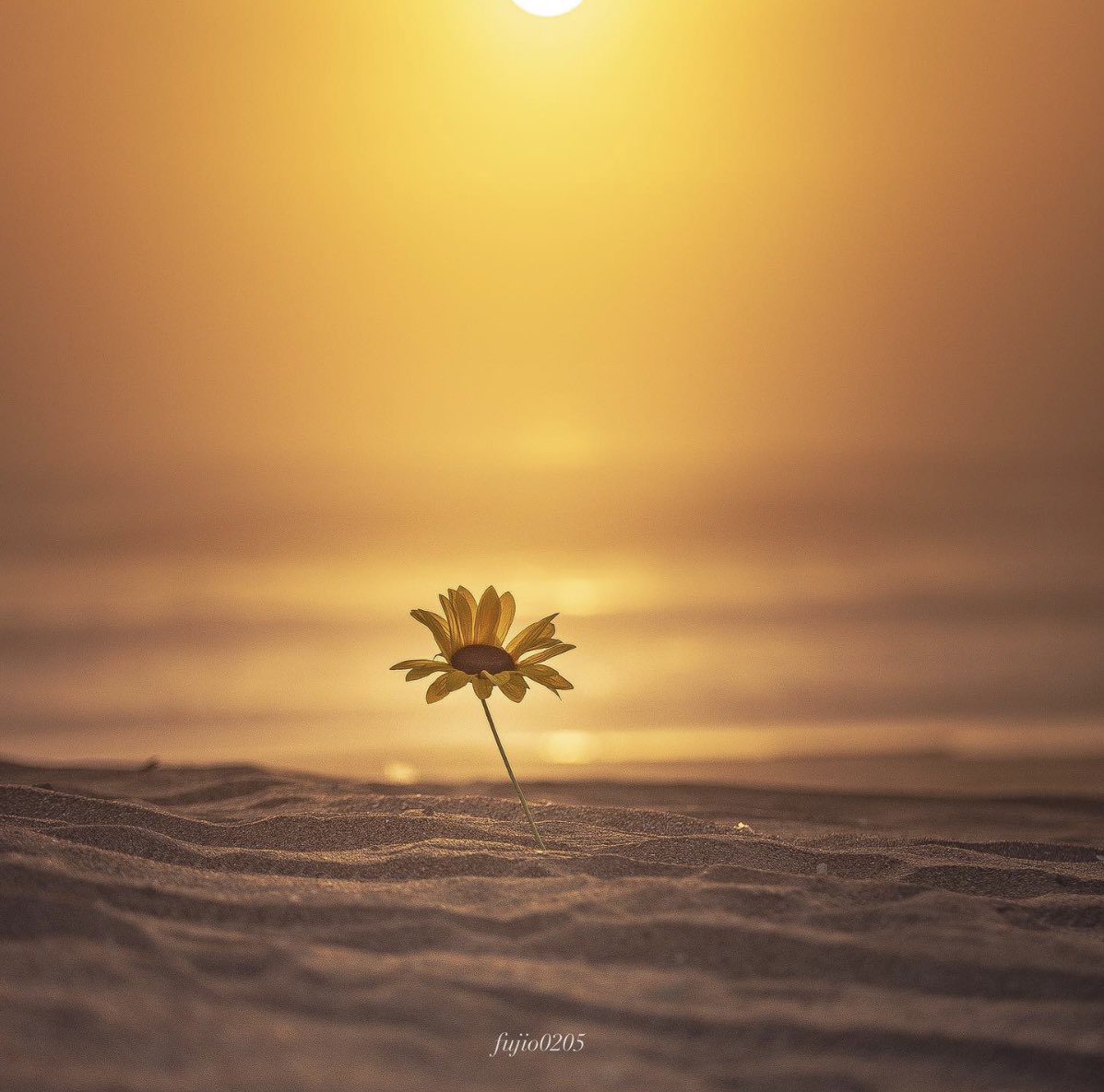 Chrismilionis tweet media