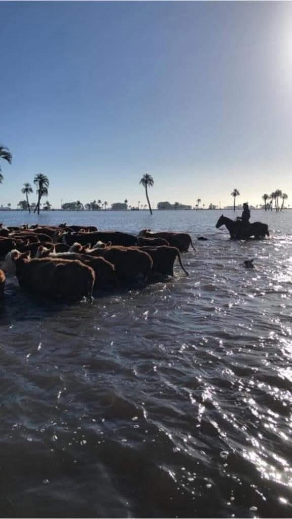 DaríoHernándezCarro🇺🇾 tweet media