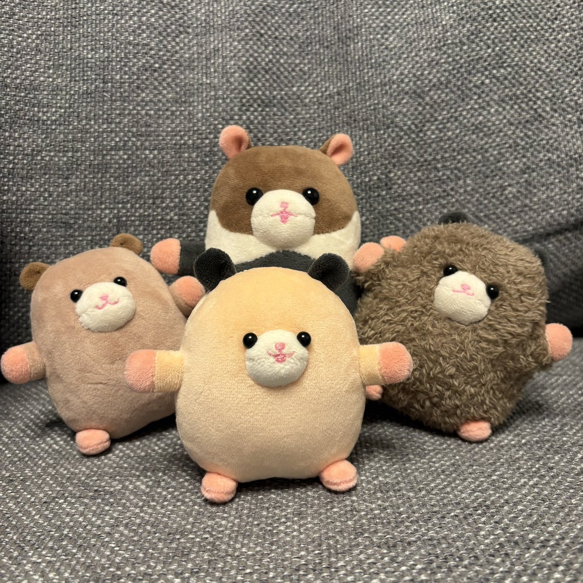 佐々木ハムハムズ tweet media