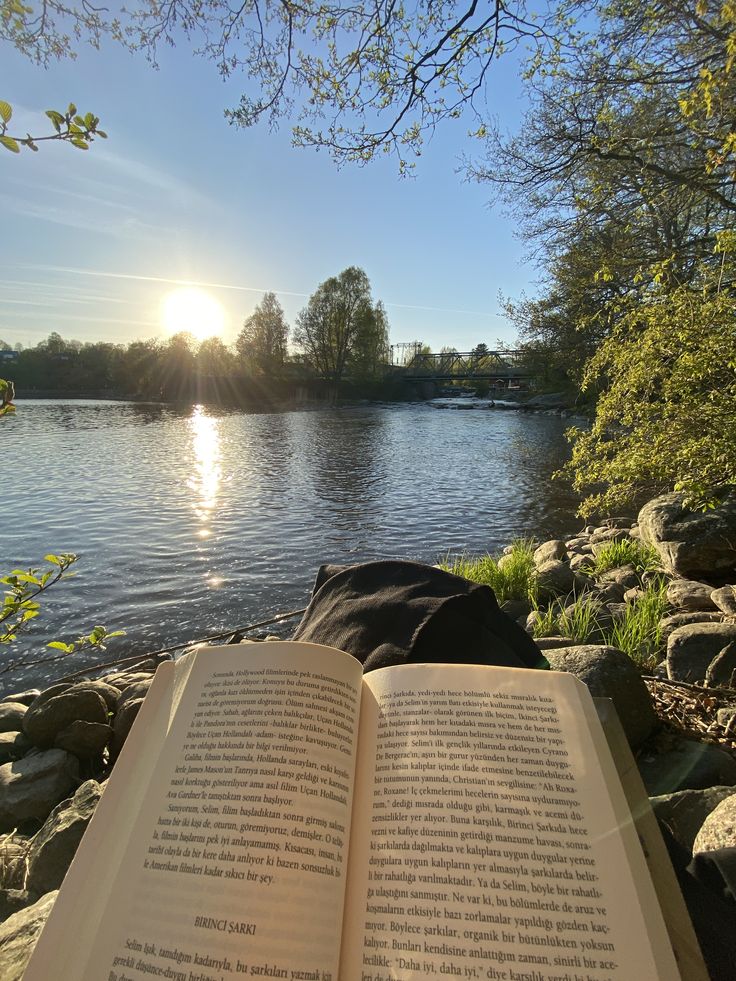 Summie's write tweet media