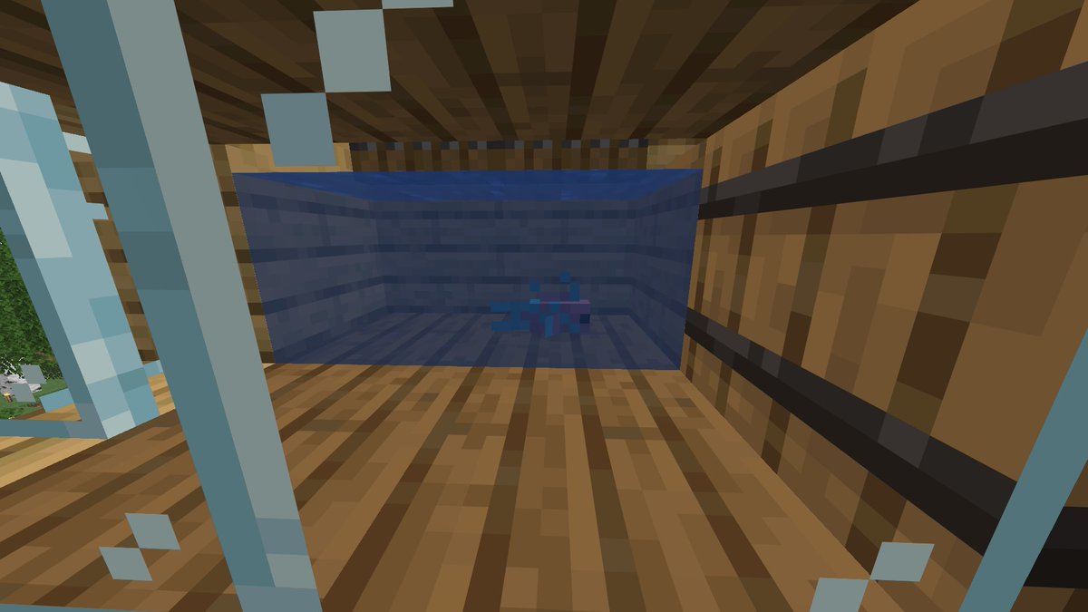 nenxion's tweet image. everyone meet boomieness. they were born yesterday #sharpcake