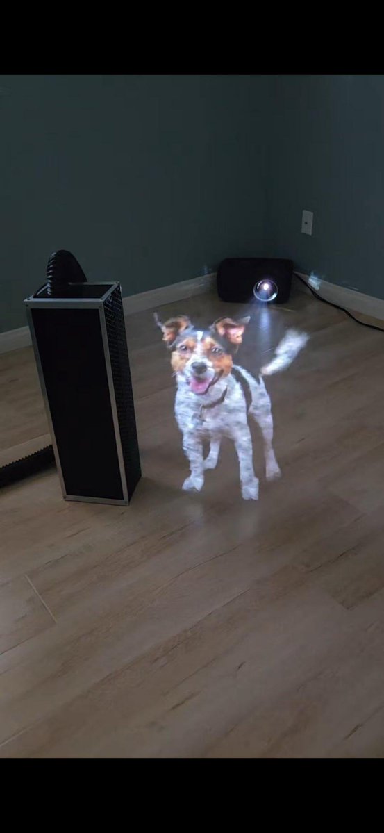 Tendencias tweet media